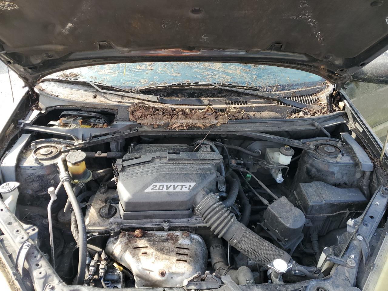 Lot #3258850808 2002 TOYOTA RAV4