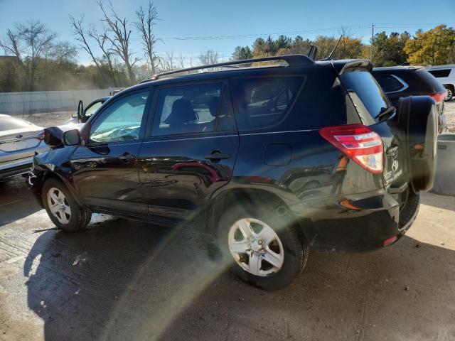 2010 TOYOTA RAV4 - 2T3BF4DV1AW068065