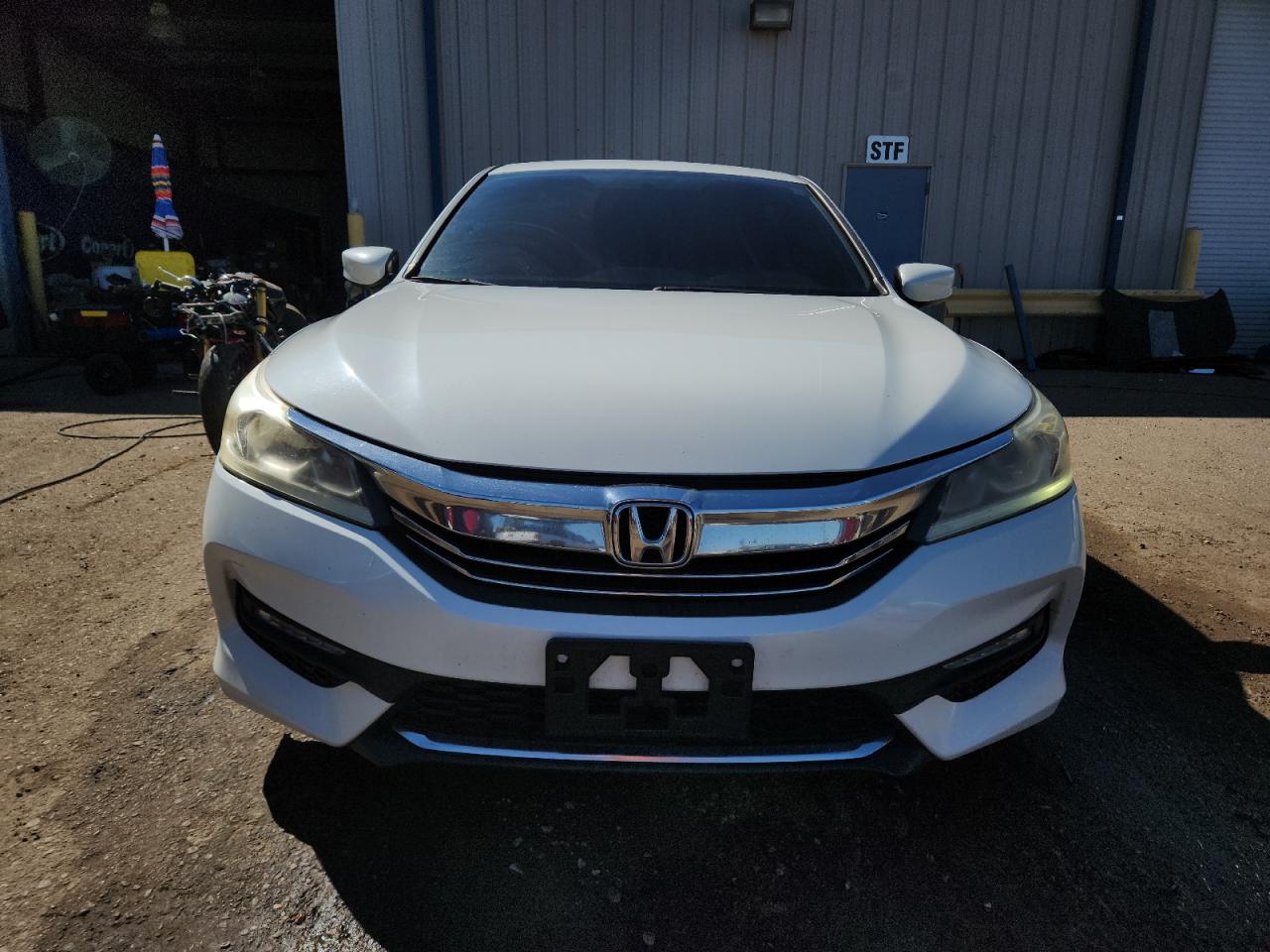 HONDA ACCORD SPORT SPECIAL EDITION