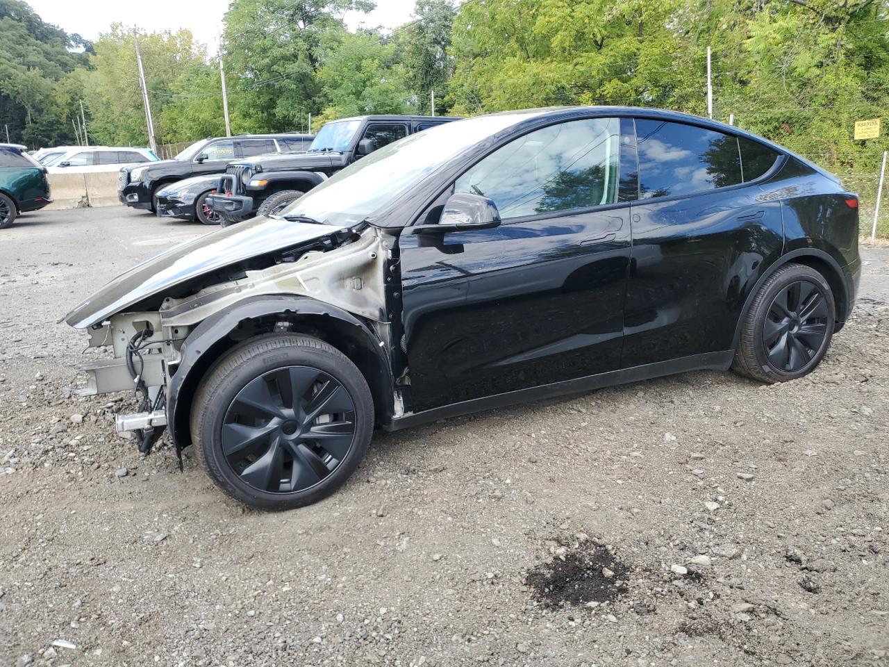 Lot #3276986211 2025 TESLA MODEL Y