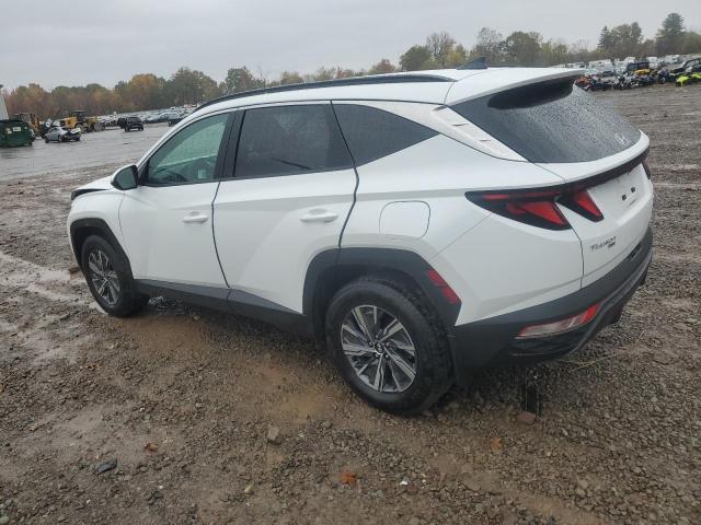 2024 HYUNDAI TUCSON BLU KM8JBCD13RU195077