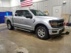 Lot #3310433299 2024 FORD F150 XLT