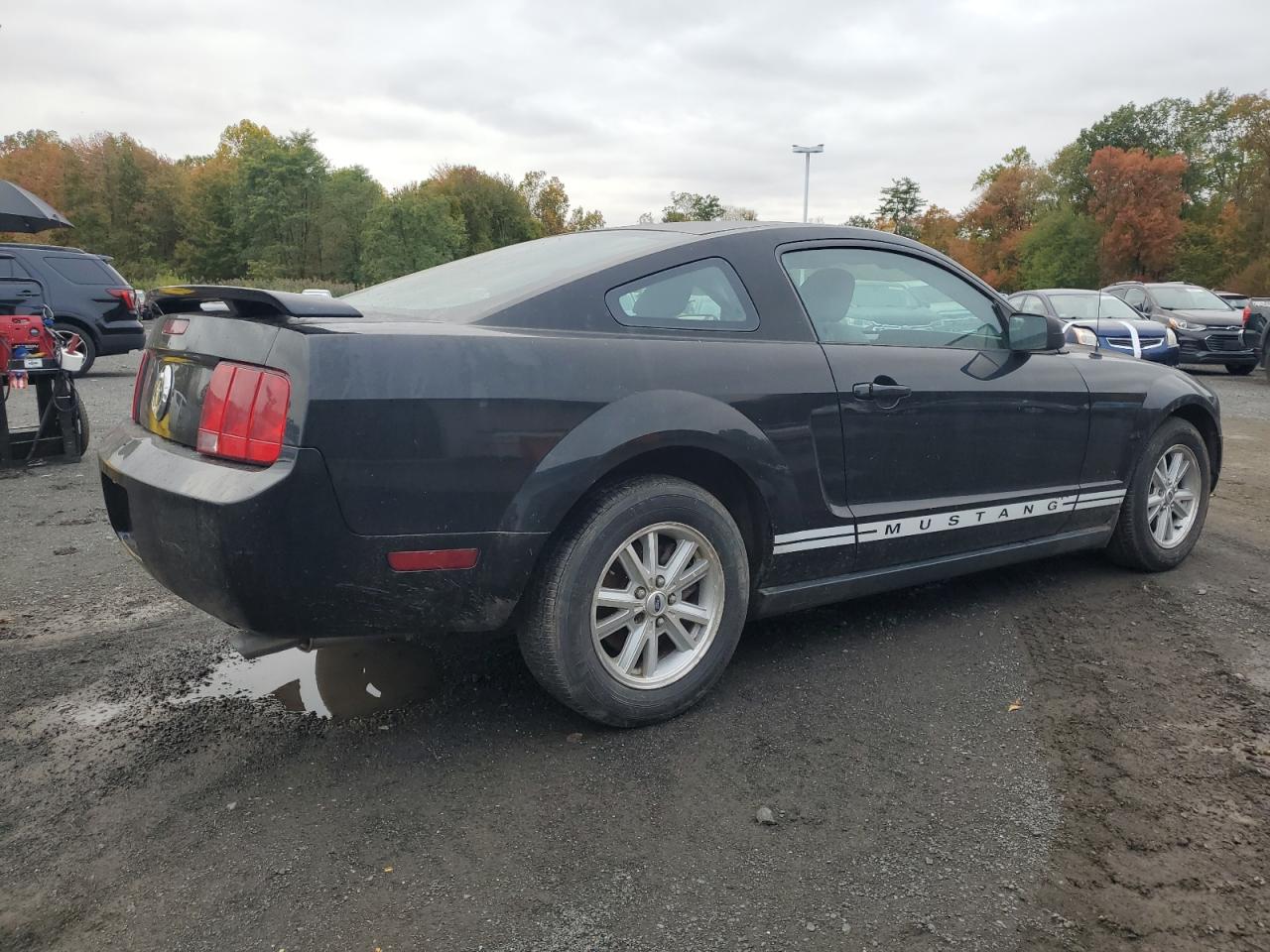 Lot #3264673865 2006 FORD MUSTANG