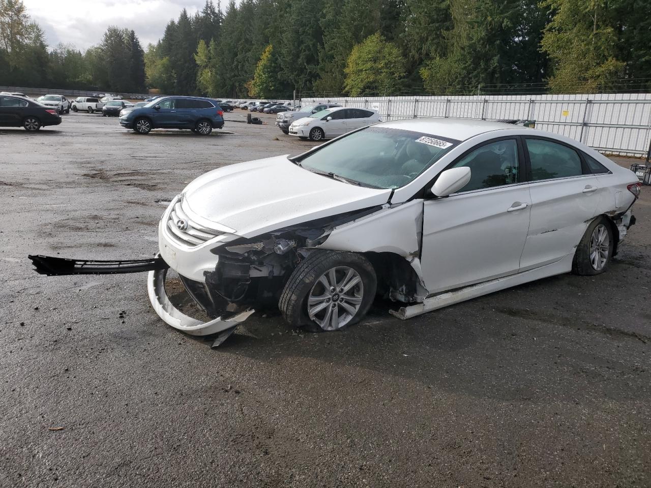 Lot #3290381793 2014 HYUNDAI SONATA GLS
