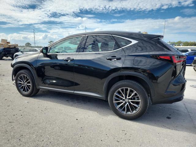 2024 LEXUS NX 250 BAS 2T2ADCAZ4RC013355