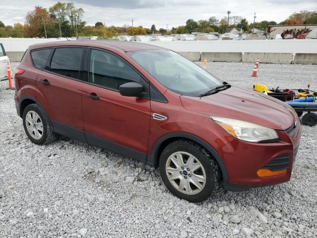 2014 FORD ESCAPE S - 1FMCU0F73EUD15456