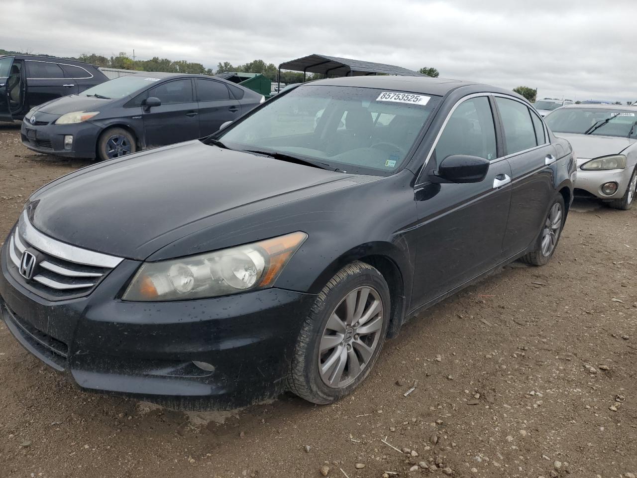 HONDA ACCORD EXL