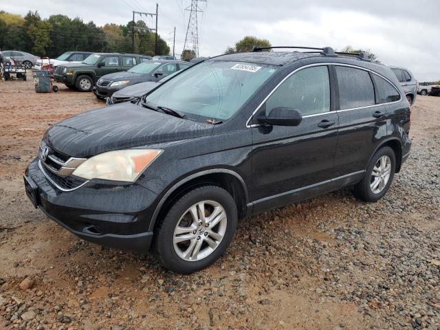 Global Auto Auctions: 2010 HONDA CR-V EX