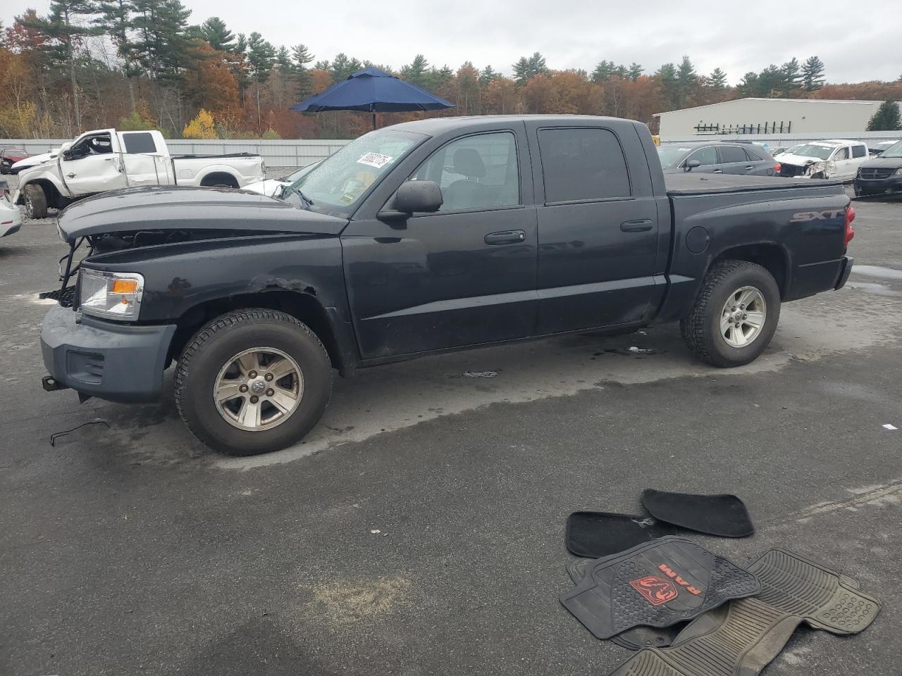 Lot #3281526731 2008 DODGE DAKOTA SXT