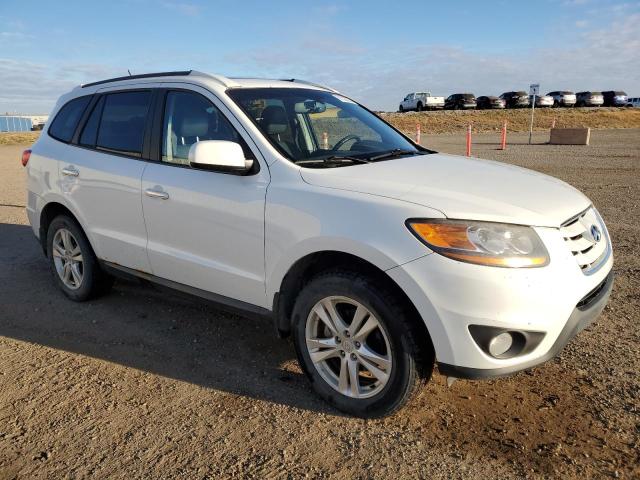 2010 HYUNDAI SANTA FE S - Other View
