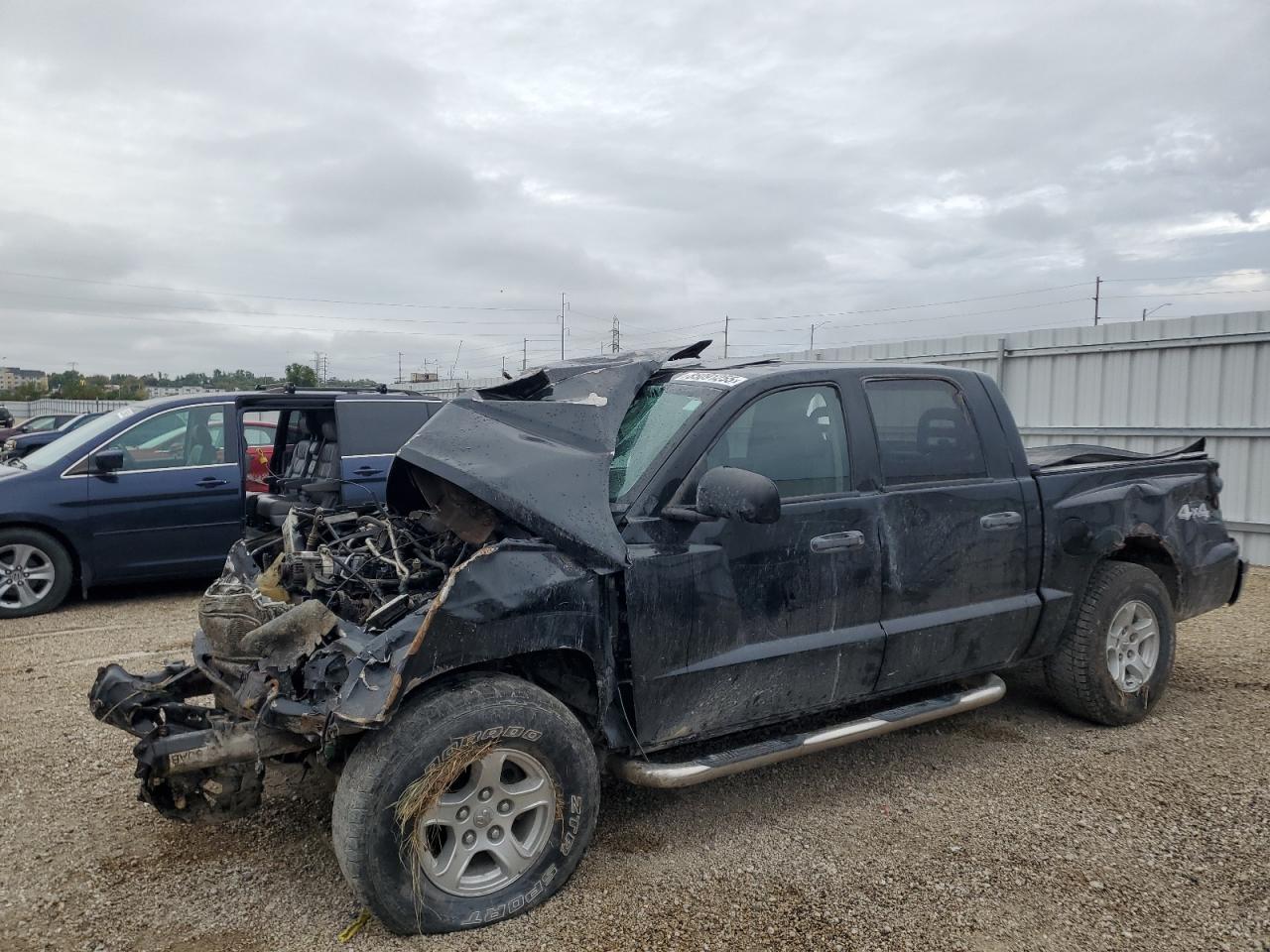 Lot #3262690117 2005 DODGE DAKOTA QUA