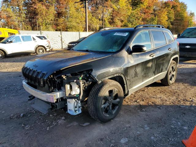 Global Auto Auctions: 2017 JEEP CHEROKEE SPORT