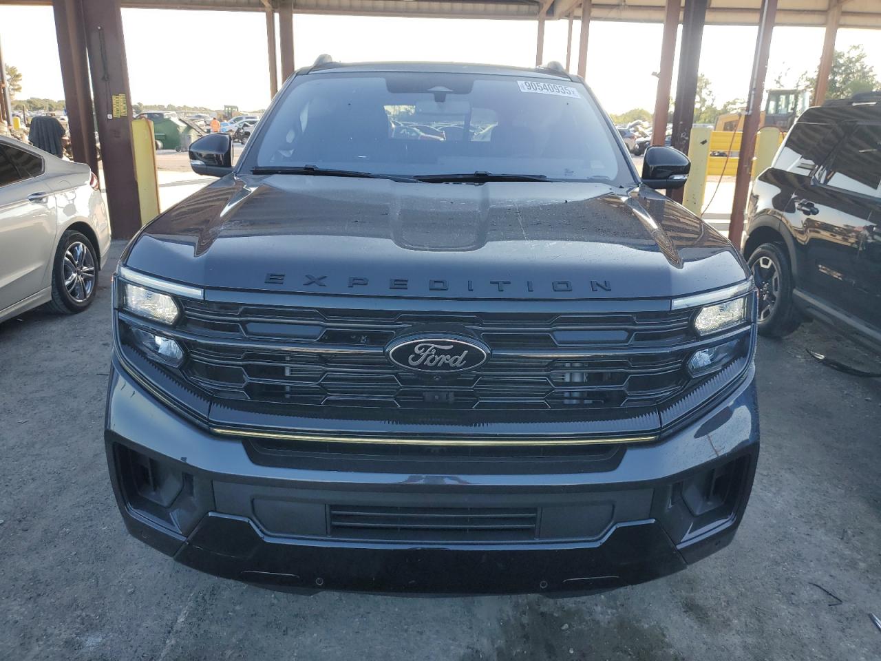 FORD EXPEDITION PLATINUM