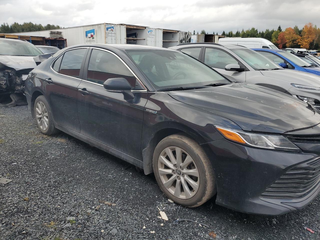 TOYOTA CAMRY LE