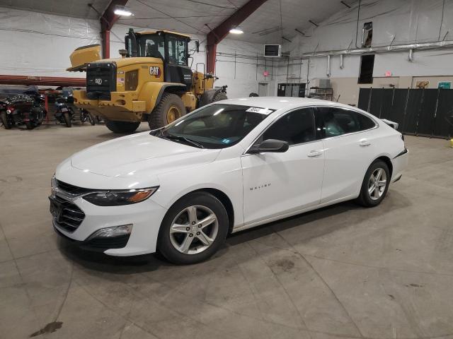 2019 CHEVROLET MALIBU LS - 1G1ZB5ST1KF205776