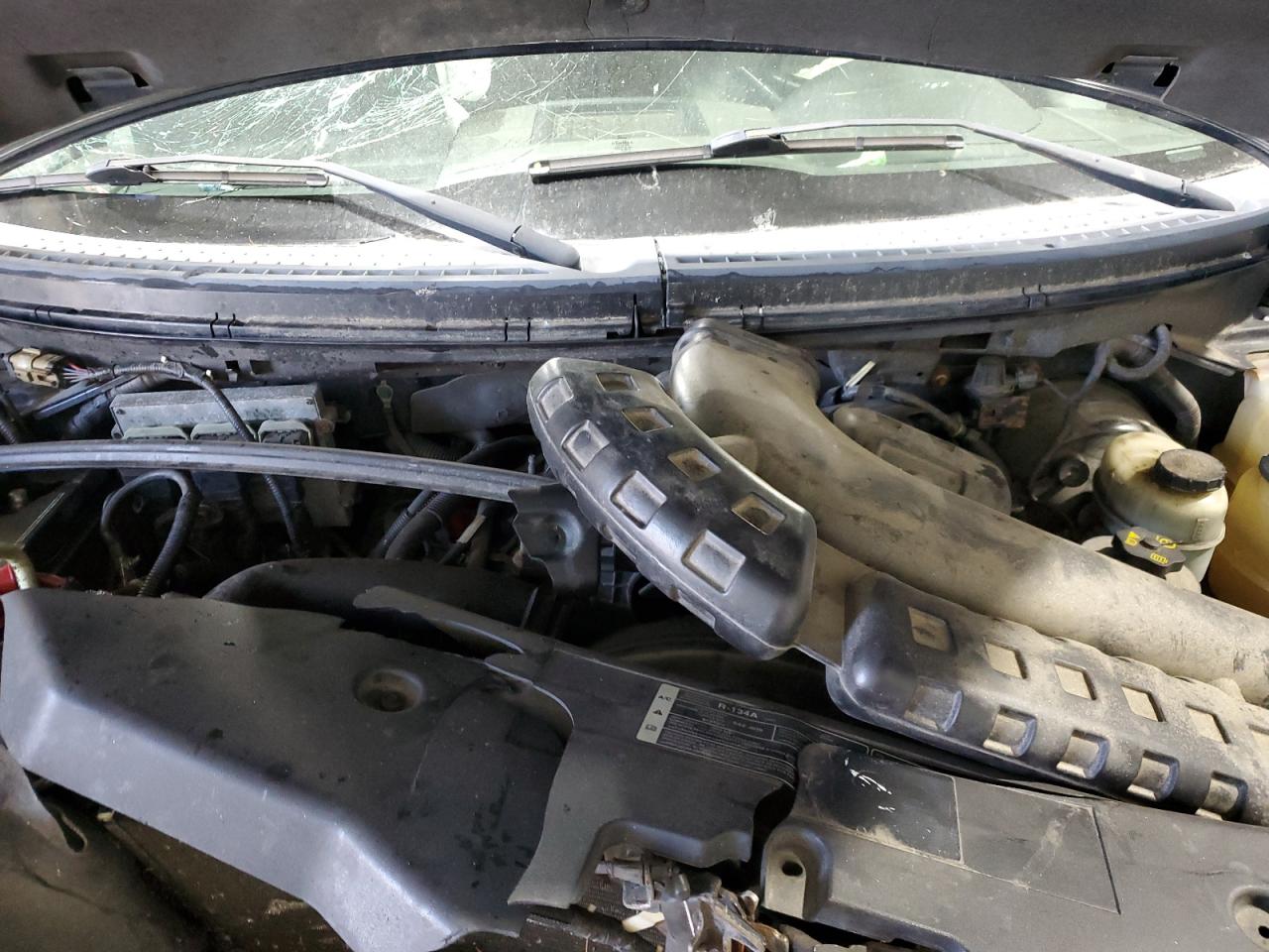 Lot #3268326026 2005 FORD F150