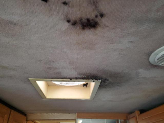 2001 ROADMASTER RAIL 40/MH #3290381791