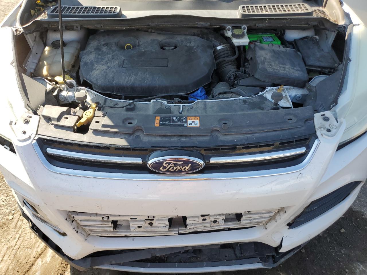 Lot #3301779328 2014 FORD ESCAPE TIT