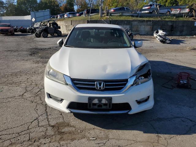 2014 HONDA ACCORD SPO - 1HGCR2F53EA017024