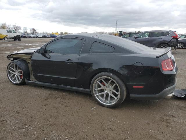 2010 FORD MUSTANG GT - 1ZVBP8CHXA5103335
