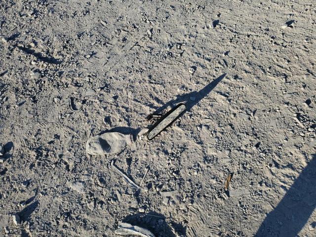 2013 FORD MUSTANG GT #3311689233