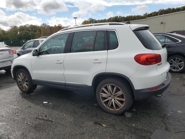 2015 VOLKSWAGEN TIGUAN S WVGBV7AX4FW593359