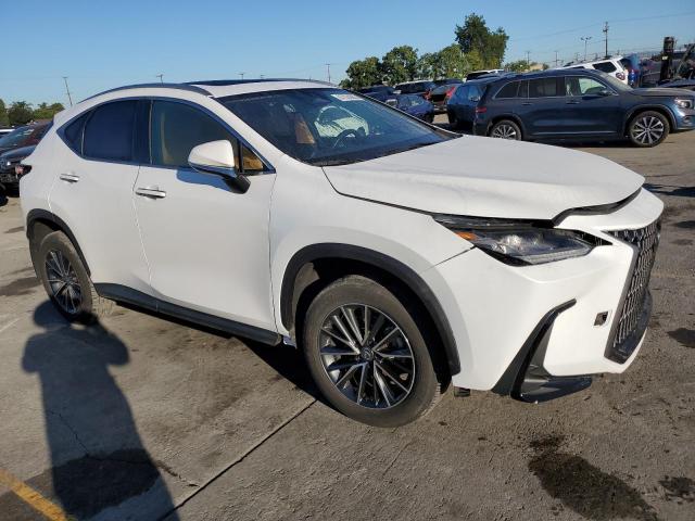 2024 LEXUS NX 250 BASE 2T2ADCAZ0RC007200
