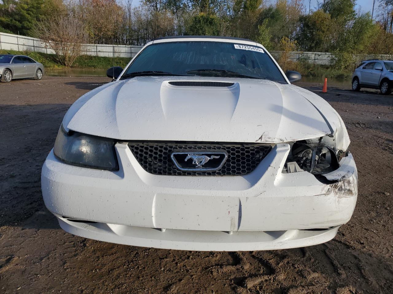 Lot #3294187941 2001 FORD MUSTANG
