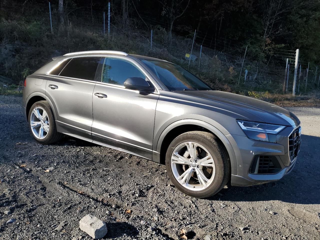AUDI Q8 PREMIUM PLUS