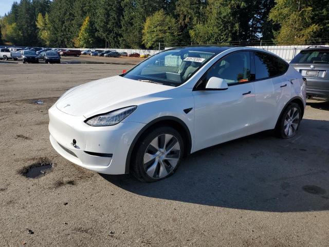 Global Auto Auctions: 2021 TESLA MODEL Y