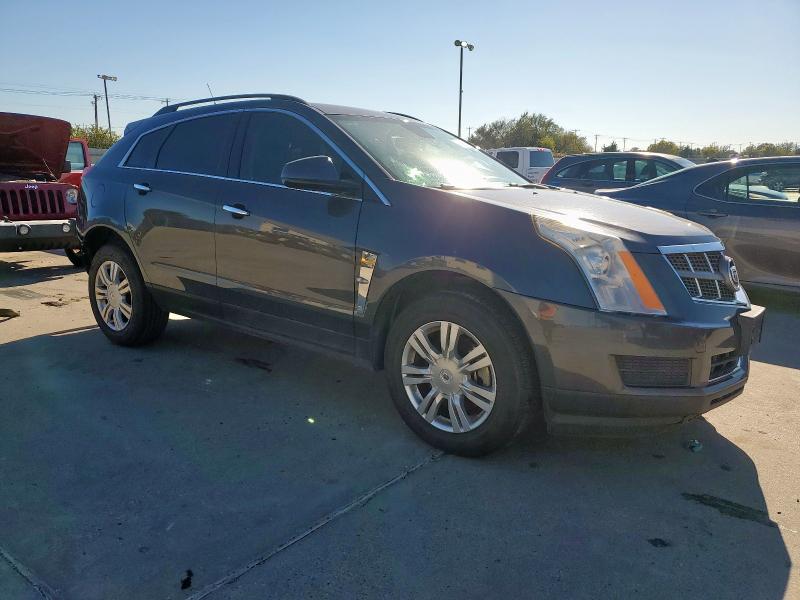 2010 CADILLAC SRX #3294515539