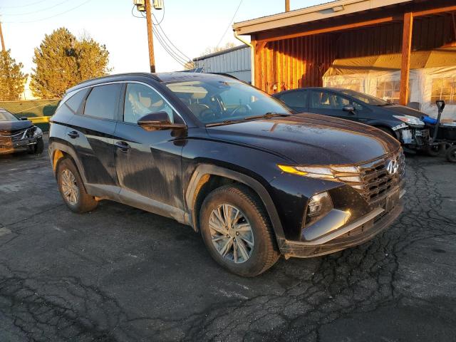 2023 HYUNDAI TUCSON BLU KM8JBCA18PU109425