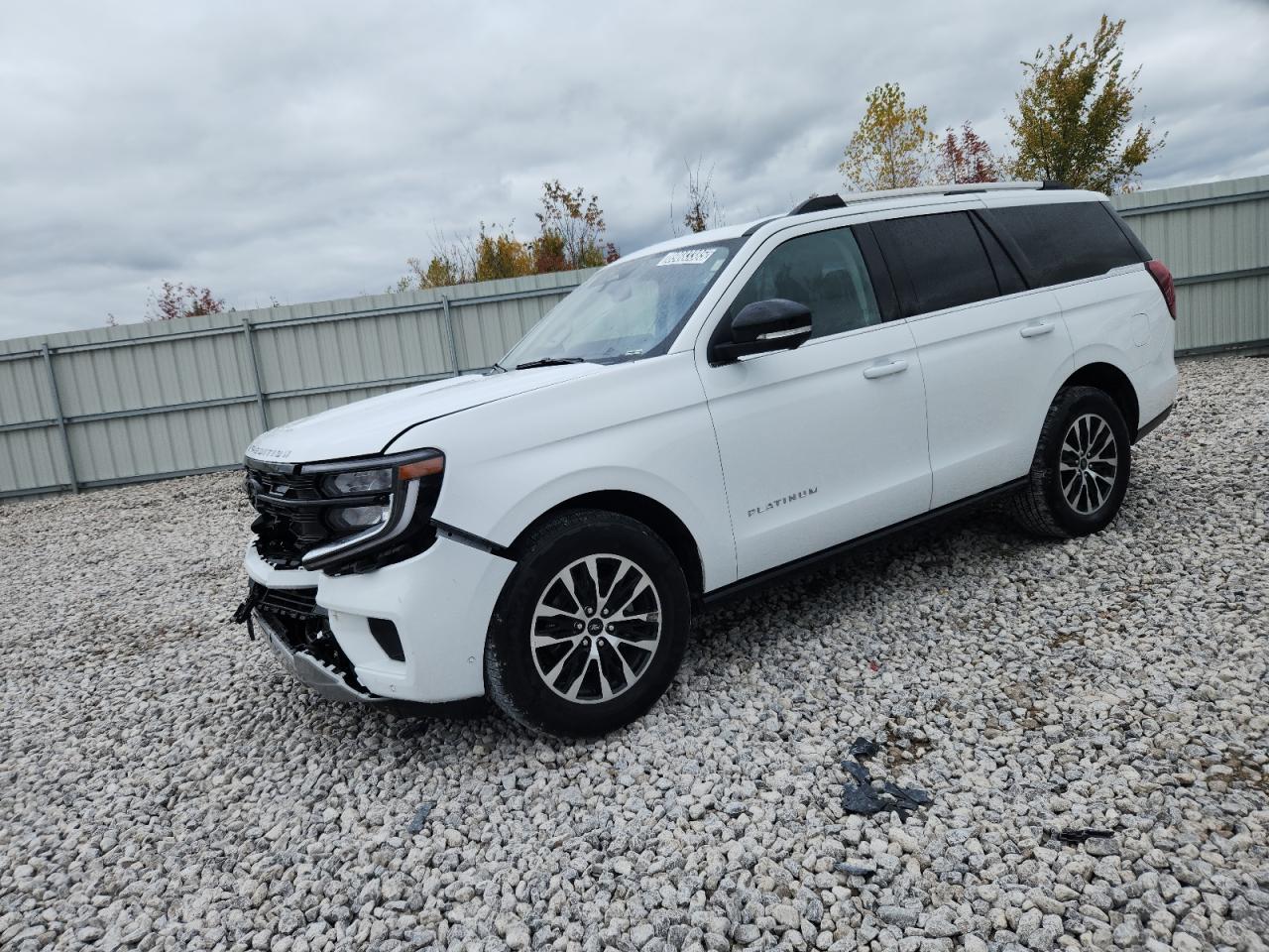 FORD EXPEDITION PLATINUM