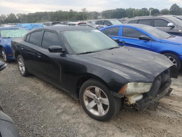 2014 DODGE CHARGER PO - 2C3CDXAT2EH316235