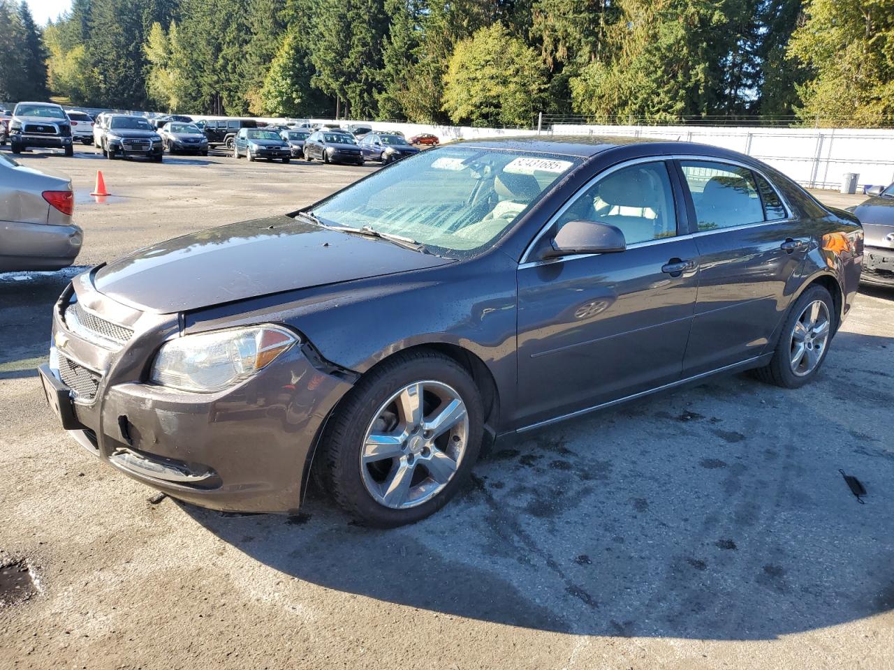 CHEVROLET MALIBU 2LT