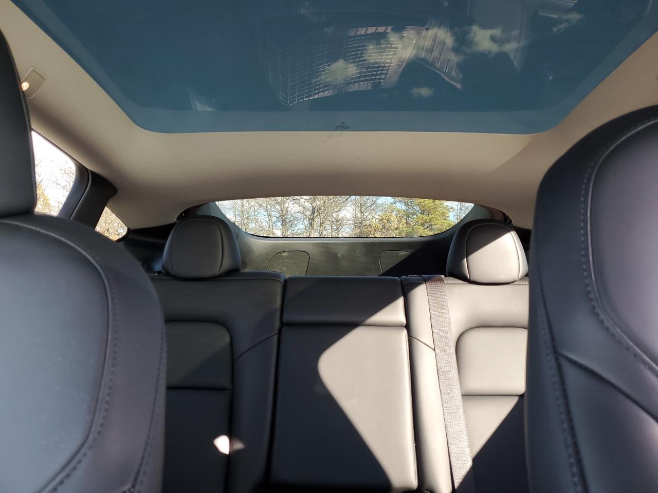 Lot #3308377293 2023 TESLA MODEL Y