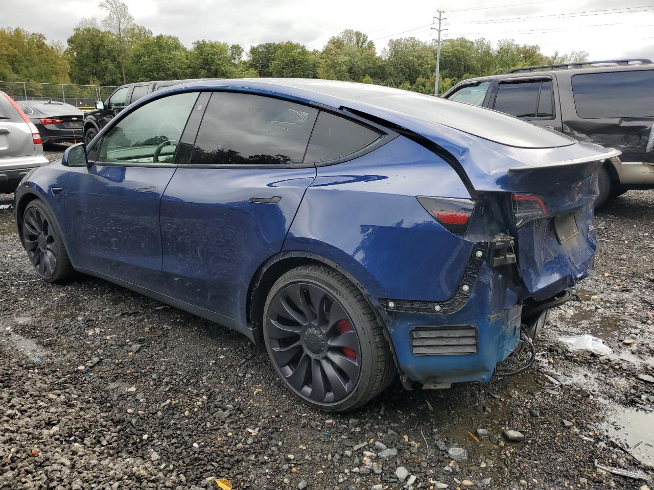 TESLA MODEL Y
