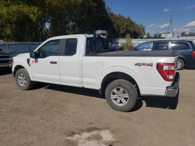 2022 FORD F150 SUPER - 1FTEX1EP7NKE55369