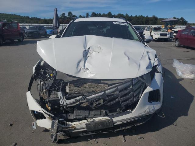 2023 HYUNDAI TUCSON SEL - 5NMJBCAE5PH240553