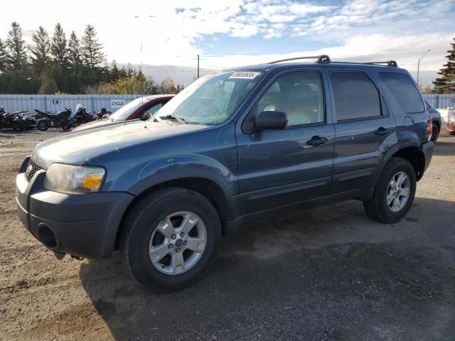 Global Auto Auctions: 2006 FORD ESCAPE XLT