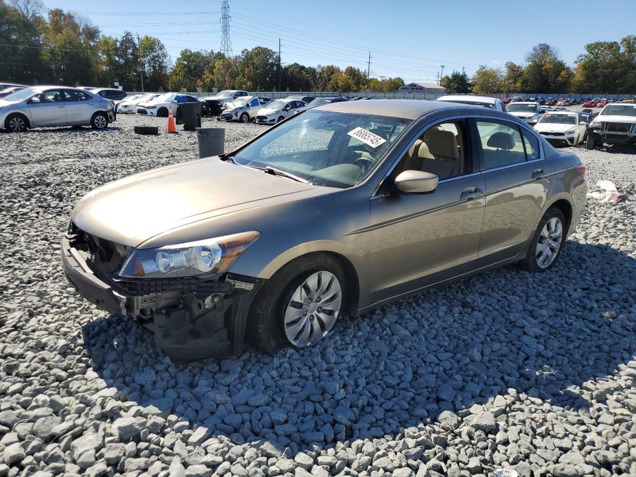 Lot #3304603477 2010 HONDA ACCORD LX