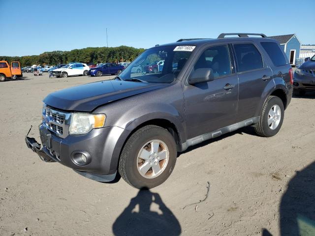 2011 FORD ESCAPE XLT - 1FMCU9D75BKB92063