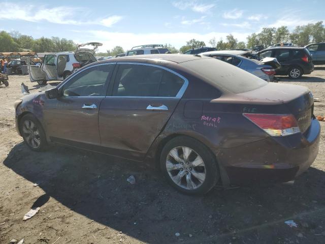 2010 HONDA ACCORD EXL #3304630977