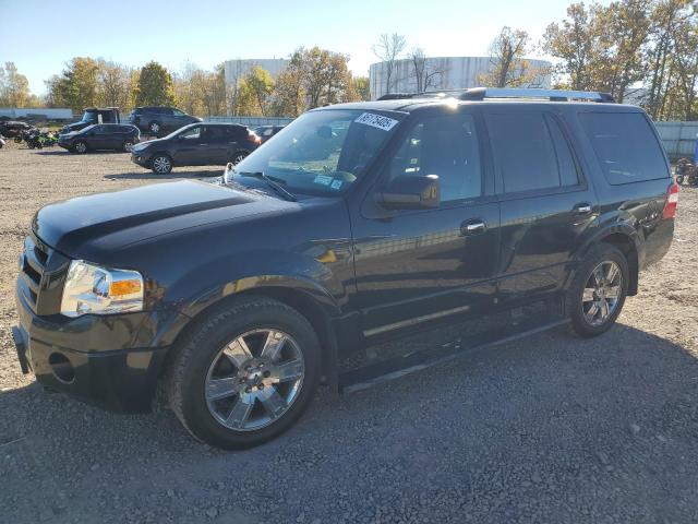 2010 FORD EXPEDITION - 1FMJU2A55AEB65377