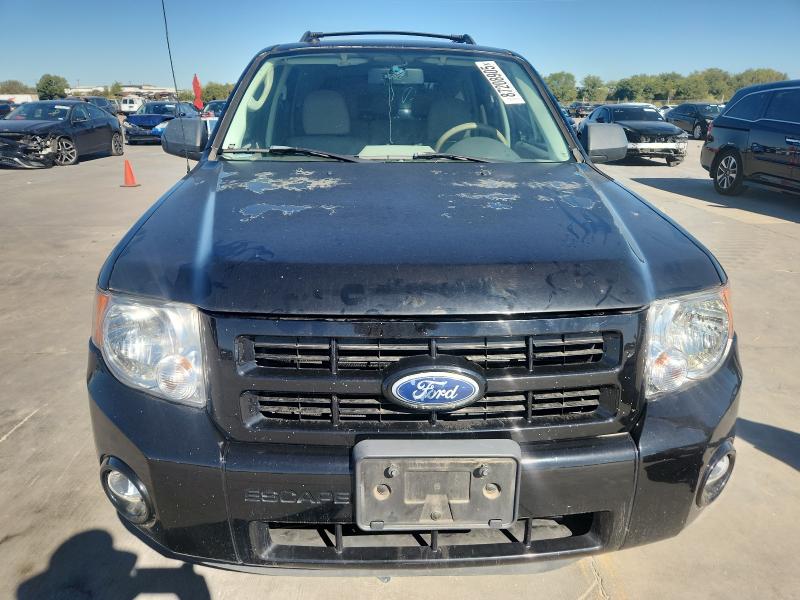 2010 FORD ESCAPE XLT - 1FMCU0DG9AKB09938