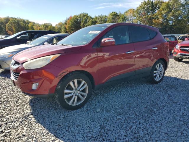 Global Auto Auctions: 2012 HYUNDAI TUCSON GLS