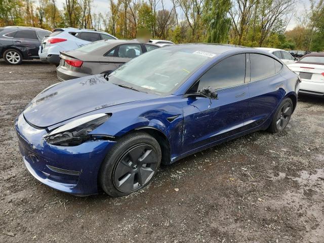 2023 TESLA MODEL 3 #3303723434