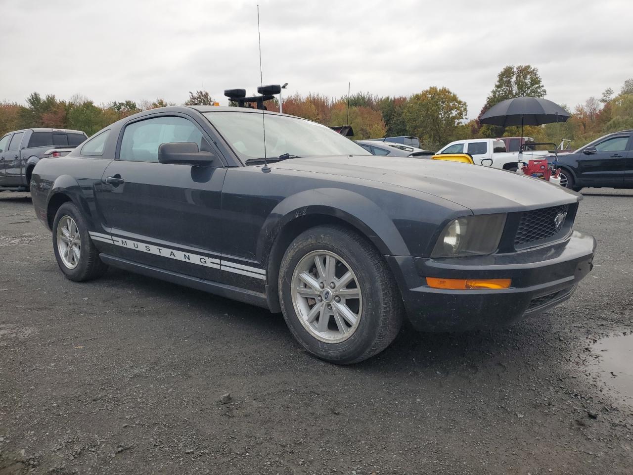 Lot #3264673865 2006 FORD MUSTANG