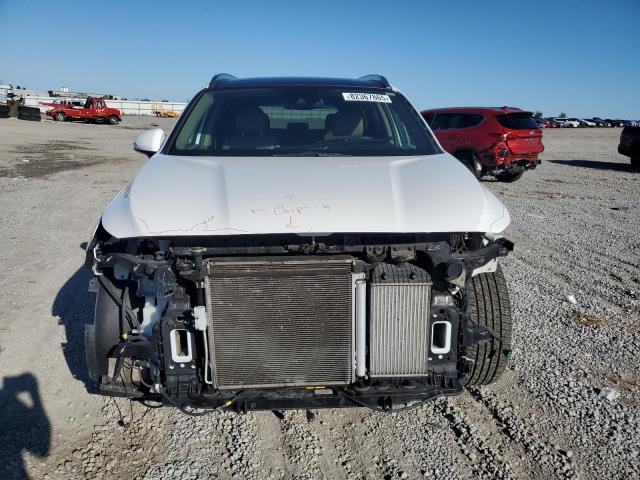 2019 HYUNDAI SANTA FE L - 5NMS53AA3KH043169