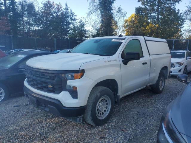 Global Auto Auctions: 2023 CHEVROLET SILVERADO C1500